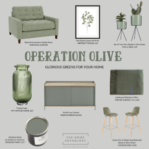 Operation Olive